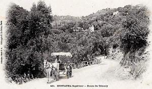 Alger - Mustapha Superieur - Route du Telemly